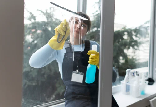 Nettoyage de vitres intérieures et extérieures à Bourg-et-Comin